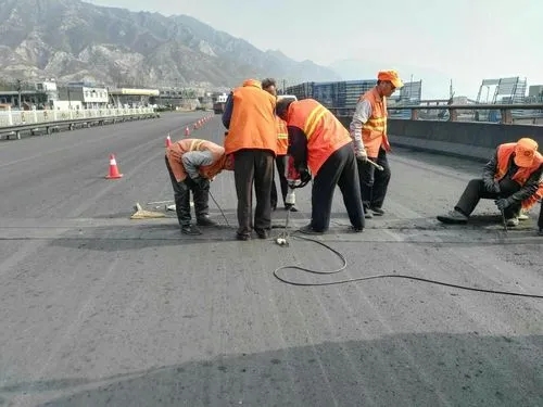 大方道路桥梁病害治理